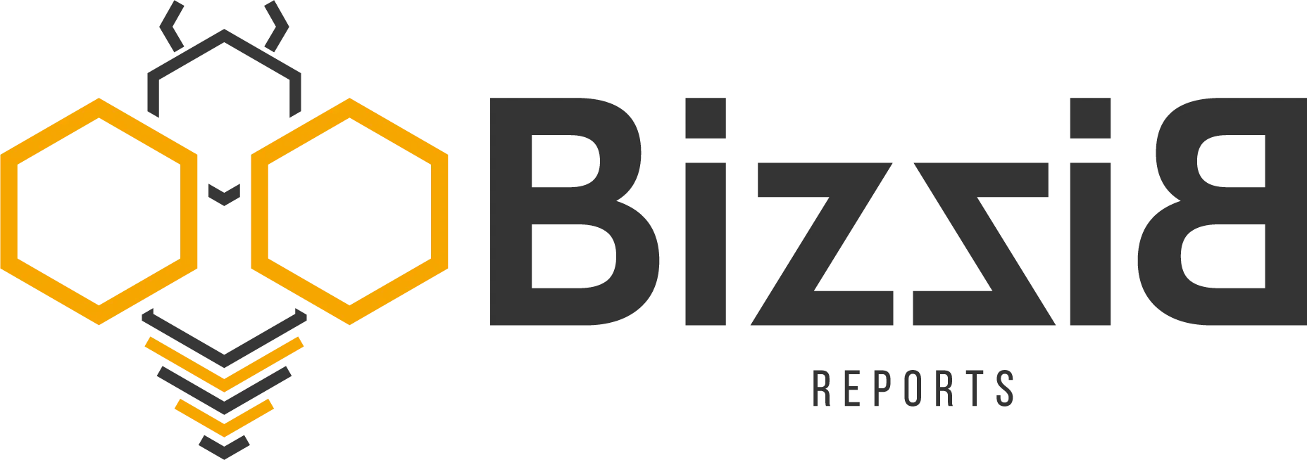 Bizzi-B